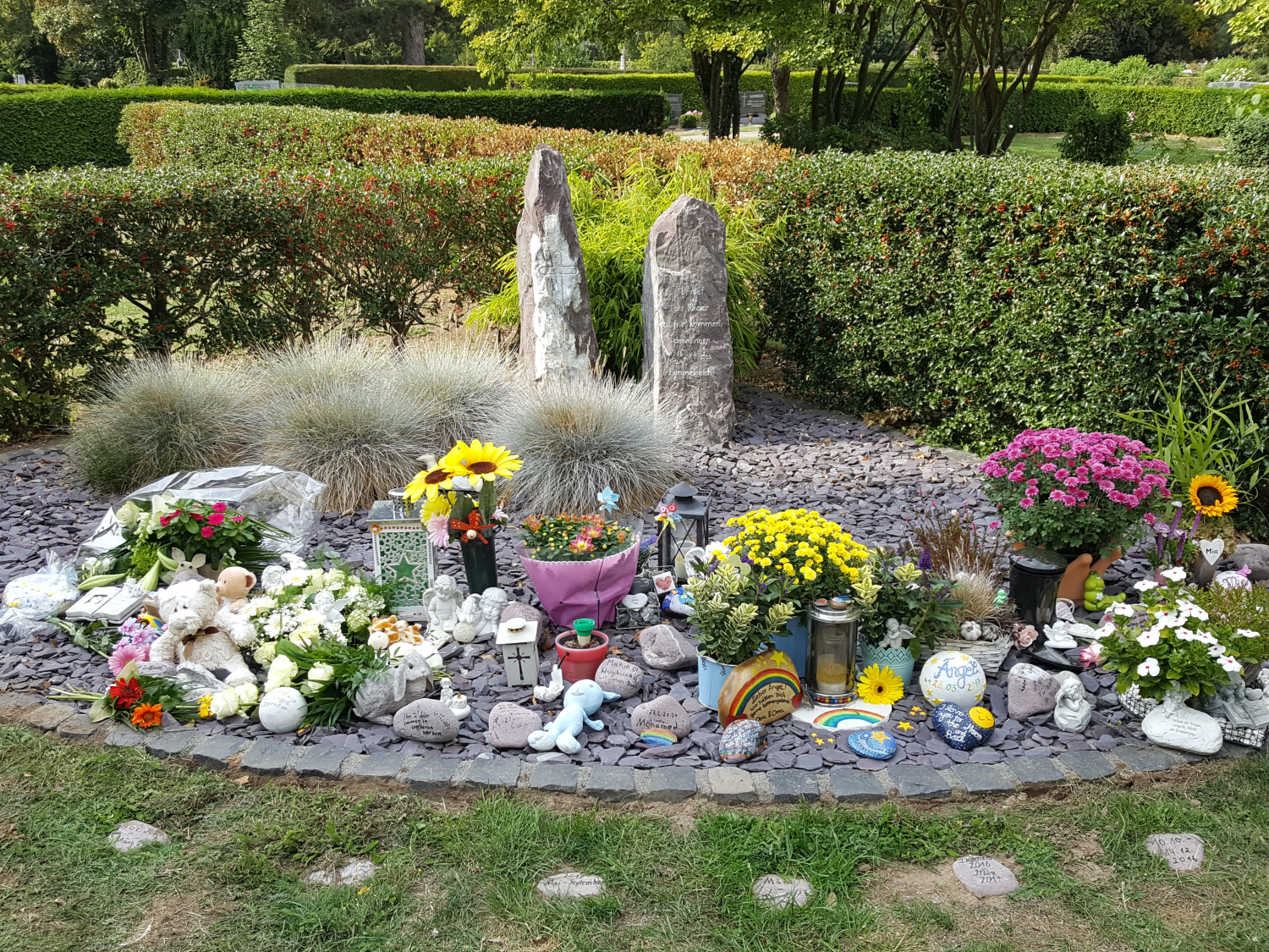 Fruehchenfeld 31.08.2018 (c) Gudrun Lausberg